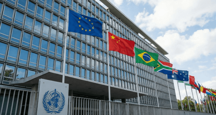 Country flags representing member nations fly outside the World Health Organization headquarters in Geneva, notably without the United States flag.
