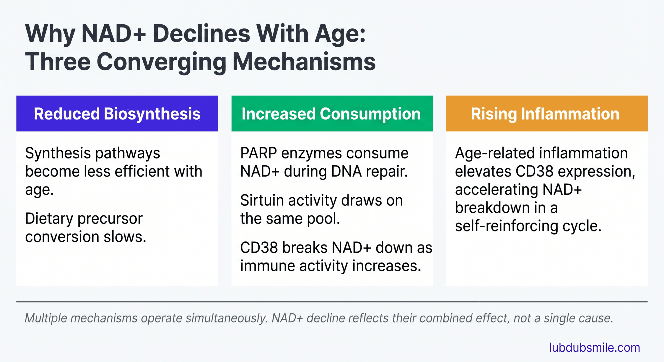 Three-column infographic explaining reduced biosynthesis, increased consumption, and rising inflammation affecting NAD+ and cellular energy decline