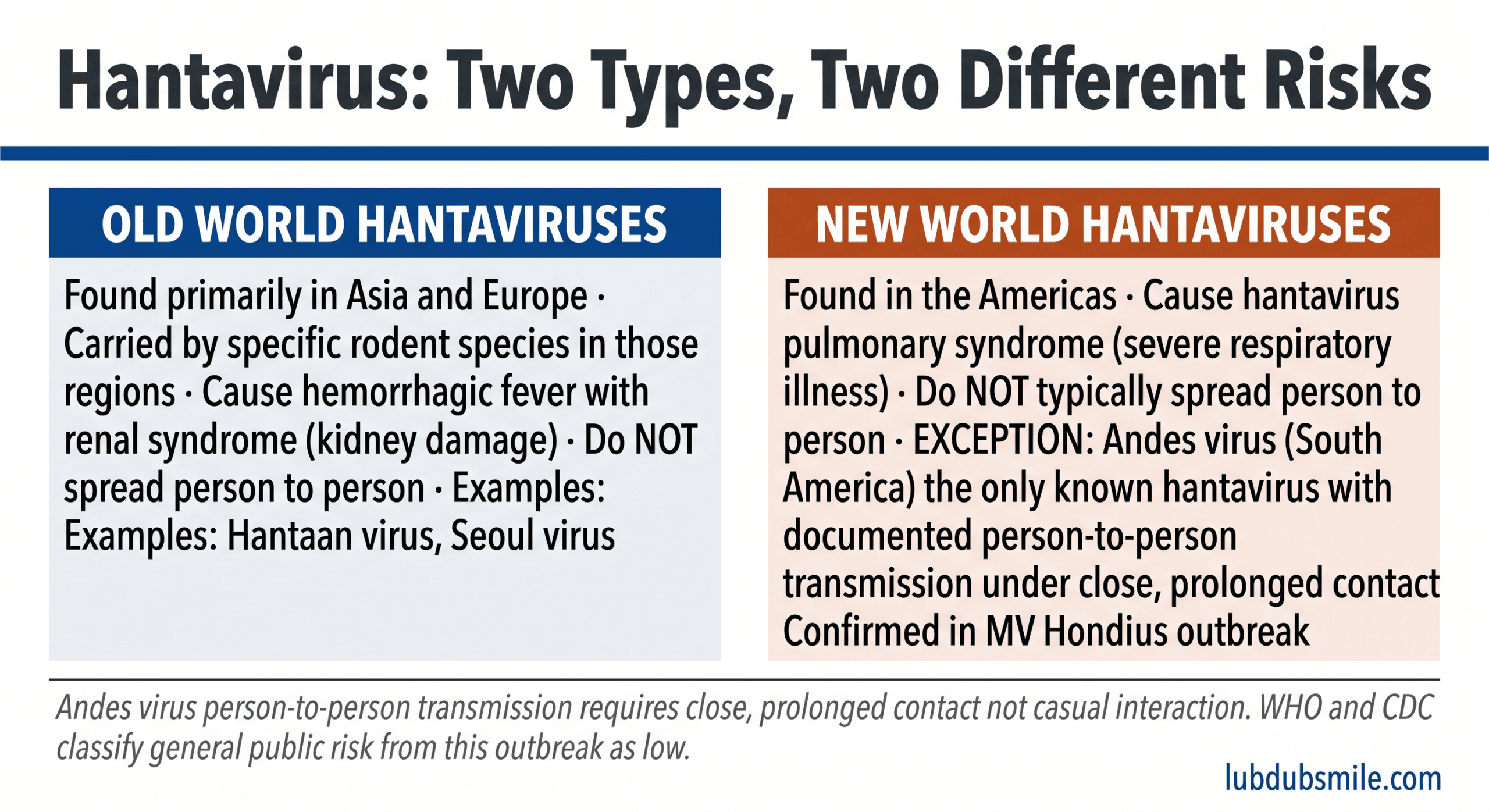 Two-panel infographic comparing Old World and New World hantavirus outbreak types and transmission risks